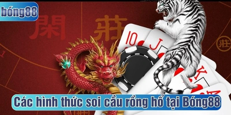 Các hình thức soi cầu rồng hổ tại Bóng88 