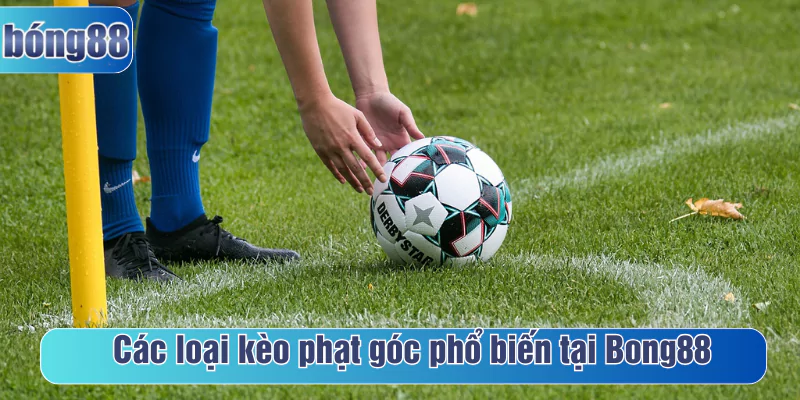 Các loại kèo phạt góc phổ biến tại Bong88