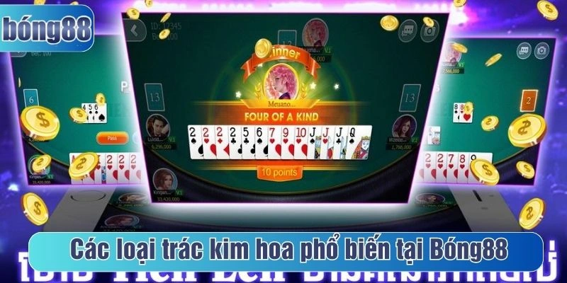 Các loại trác kim hoa phổ biến tại Bóng88