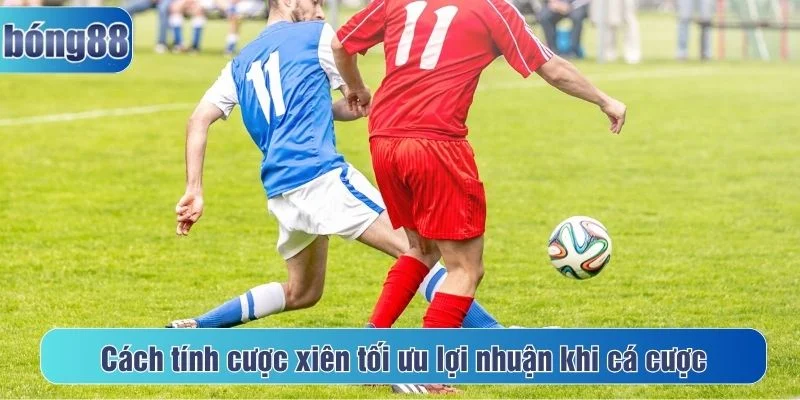 Cách tính cược xiên