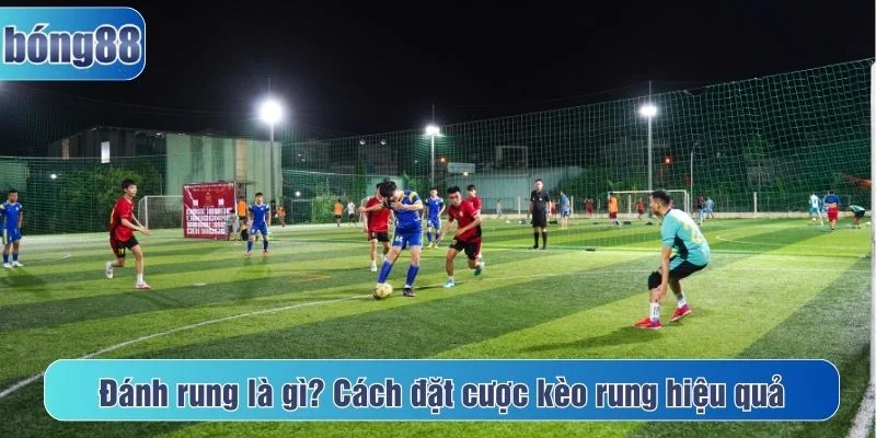 Đánh rung là gì
