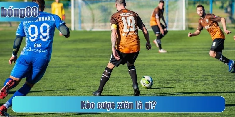 Kèo đánh rung cá cược ngay khi trận đấu đang diễn ra