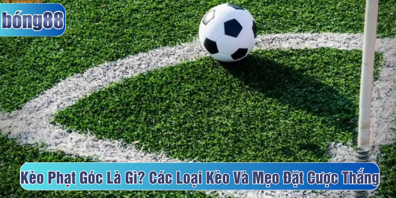 Kèo phạt góc là gì các loại kèo và mẹo đặt cược thắng lớn