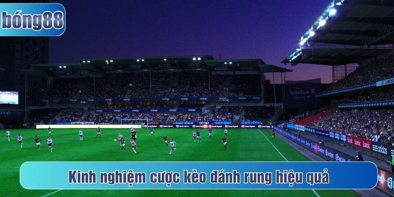 Kinh nghiệm cược đánh rung giúp người chơi thắng lớn