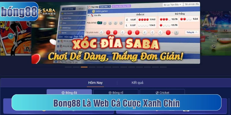 Bong88 là web cá cược xanh chín được nhiều bet chủ tin tưởng