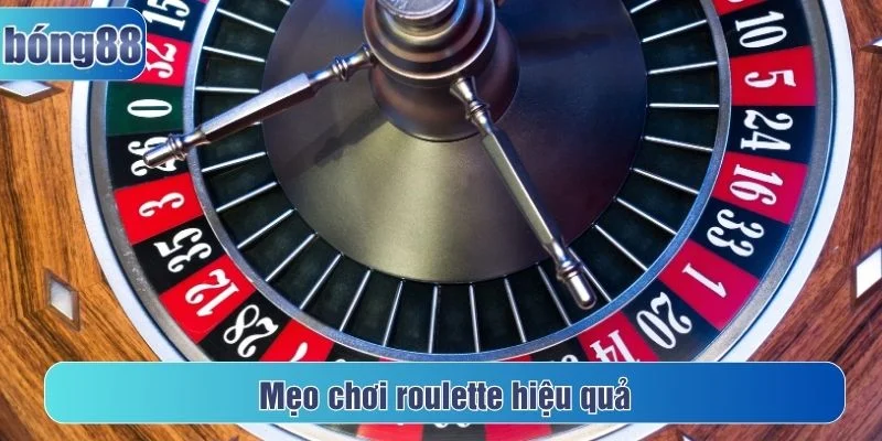 Một số mẹo chơi roulette người chơi có thể tham khảo