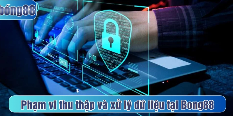 Phạm vi thu thập và xử lý dữ liệu tại Bong88