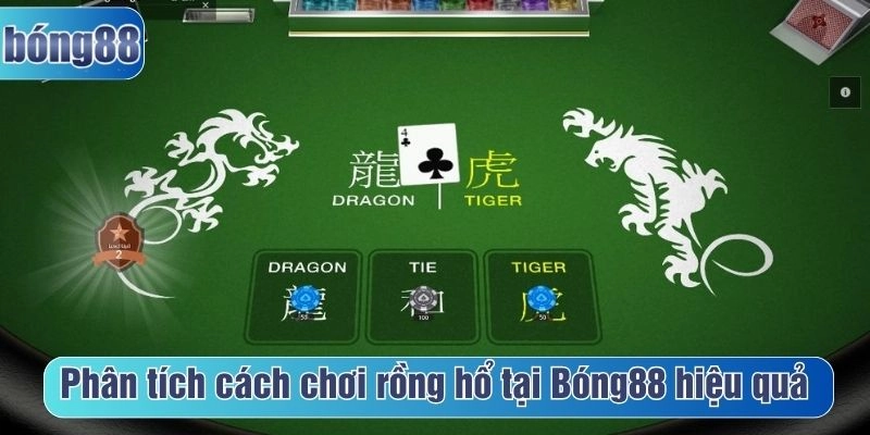 Phân tích cách chơi rồng hổ tại Bóng88 hiệu quả
