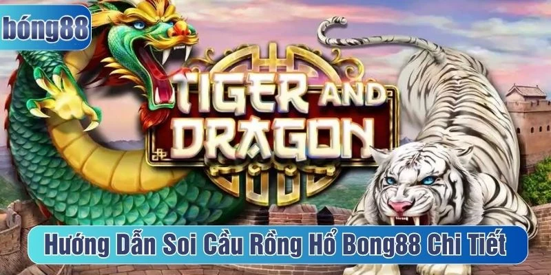 soi cầu rồng hổ