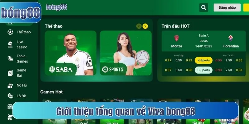 Thông tin về Viva bong88