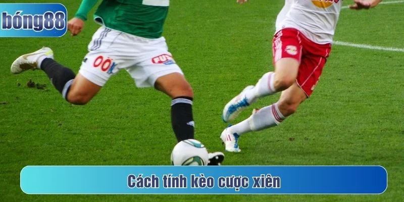 Tìm hiểu cách tính cược xiên chính xác