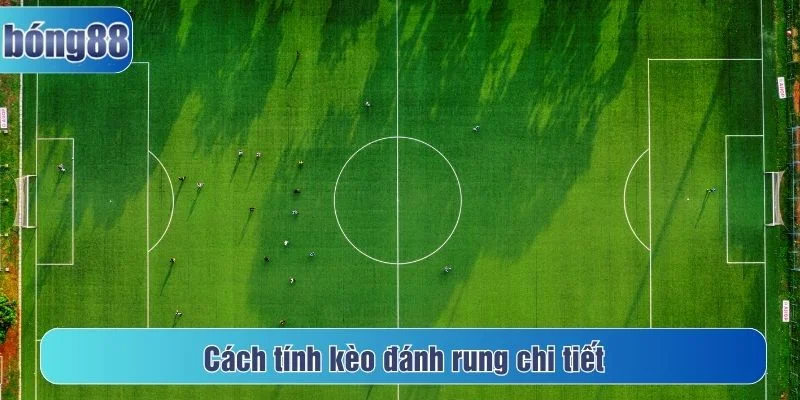 Tìm hiểu cách tính kèo đánh rung là gì