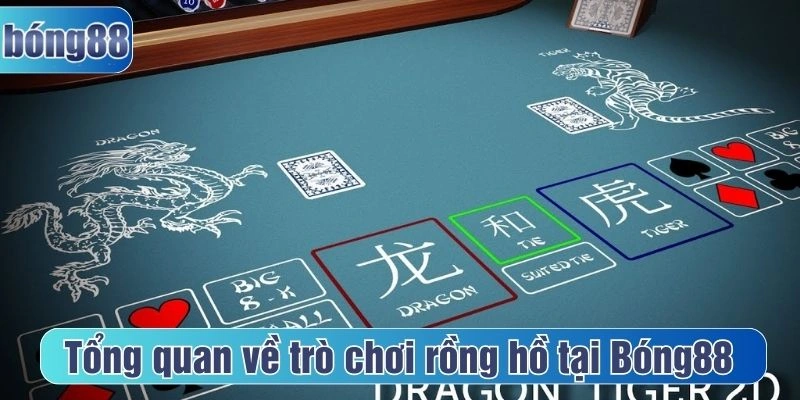 Tổng quan về trò chơi rồng hồ tại Bóng88